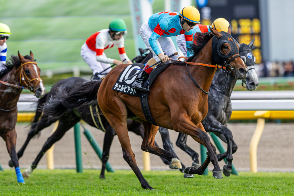 チェルビアット（C.ルメール）