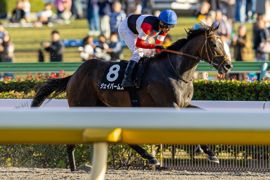 ジェイパームス（大野拓弥）