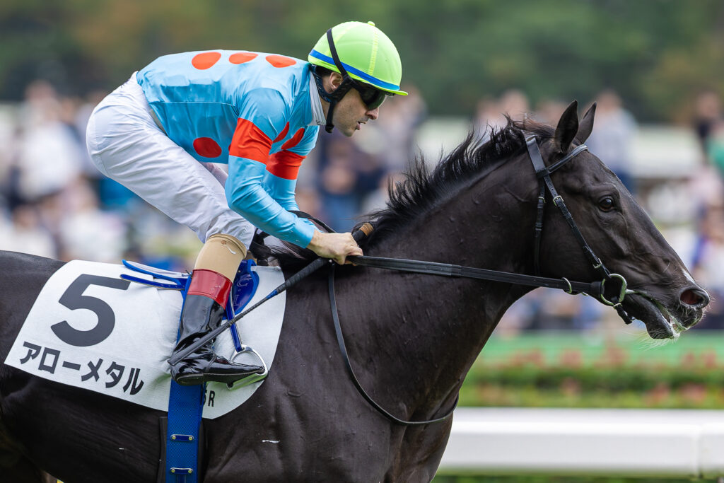 アローメタル（C.ルメール）