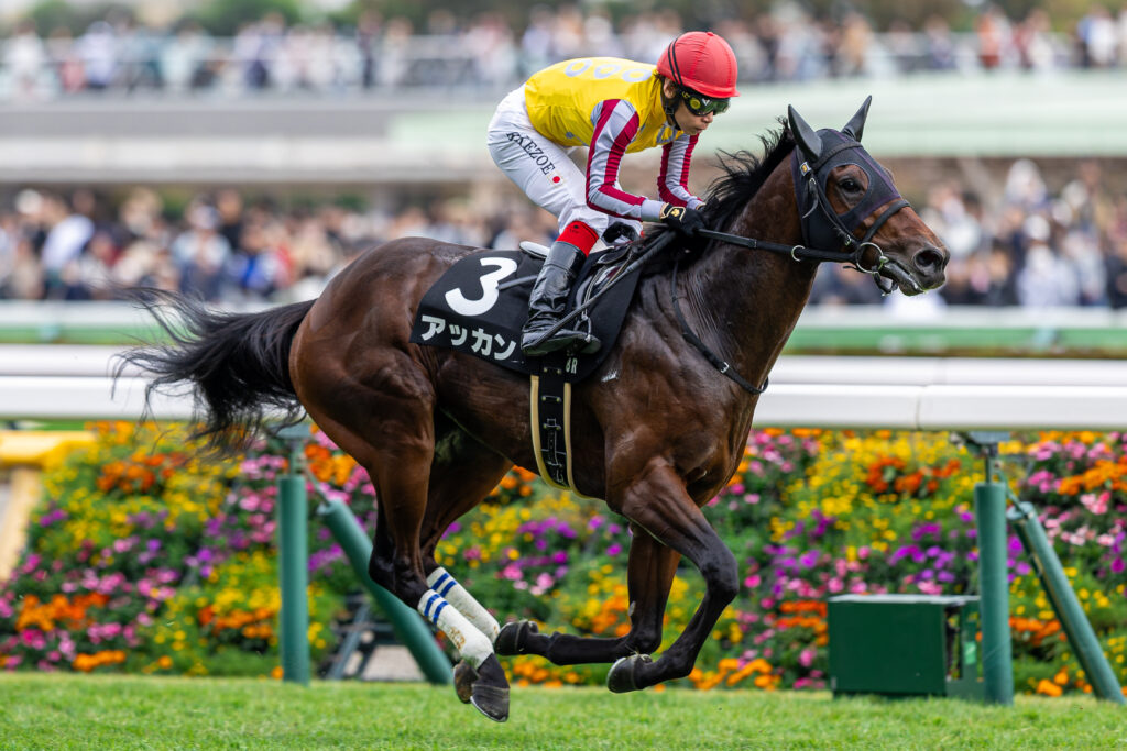 アッカン（池添謙一）