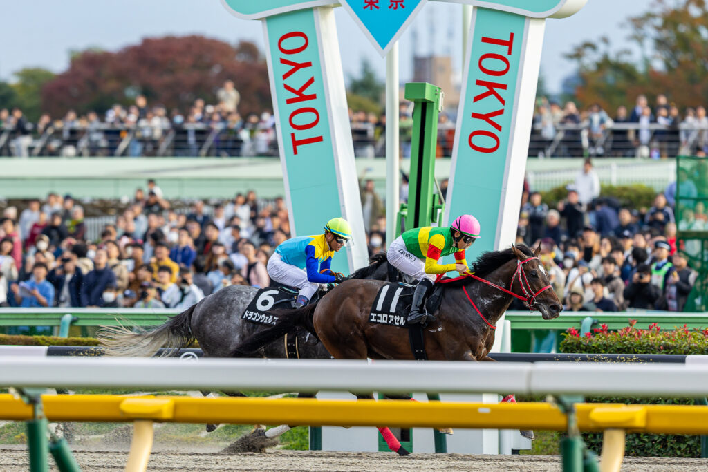 エコロアゼル（団野大成）