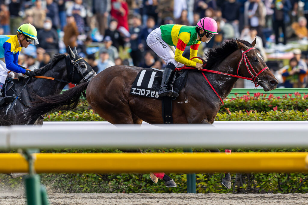 エコロアゼル（団野大成）